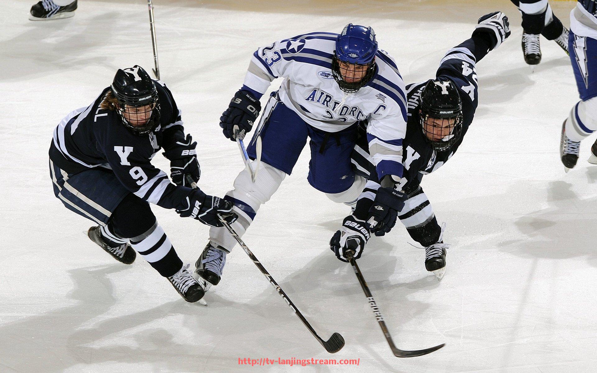 蓝鲸体育直播-皇马2014年欧冠阵容解析及冠军之路