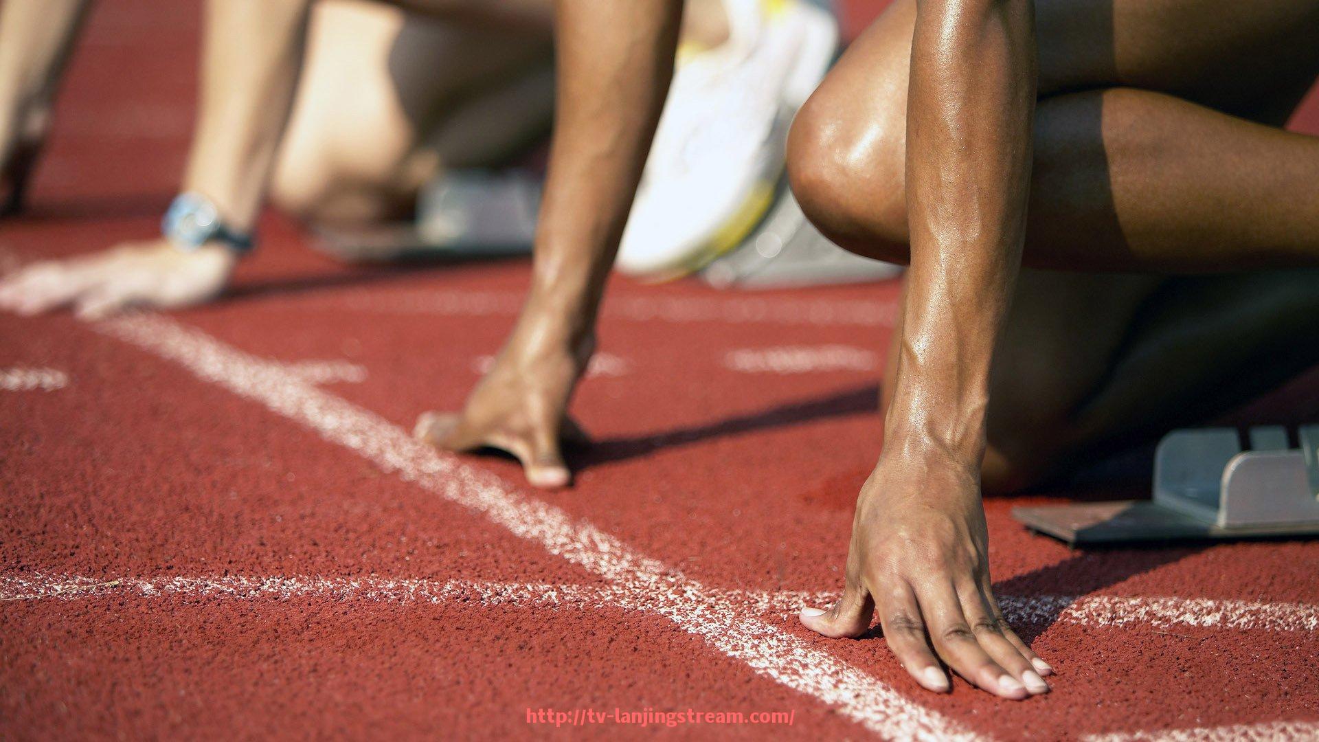 蓝鲸体育直播-火箭队戈登与安德森的球场精彩壁纸